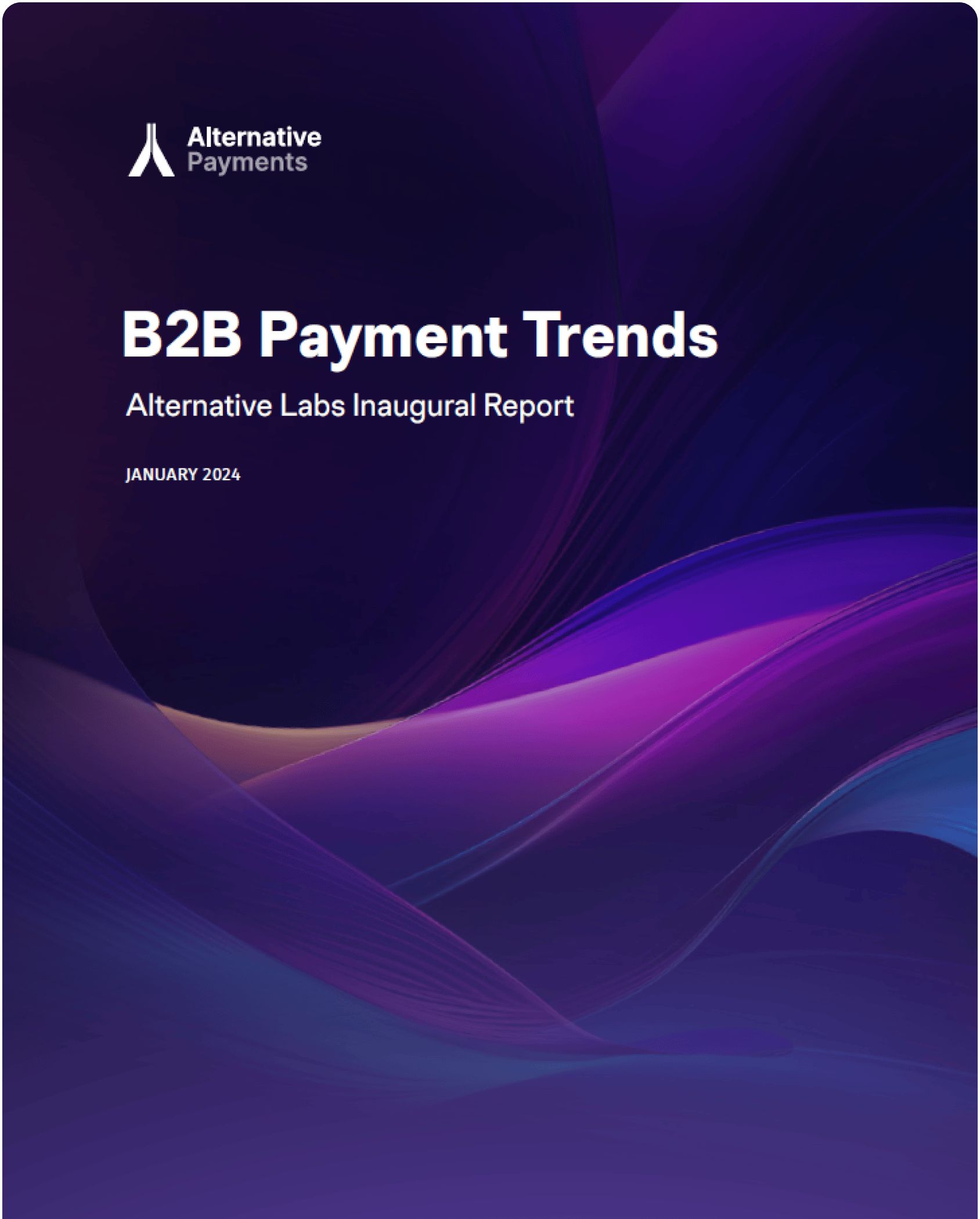 Ebook cover for B2B Payment Trends